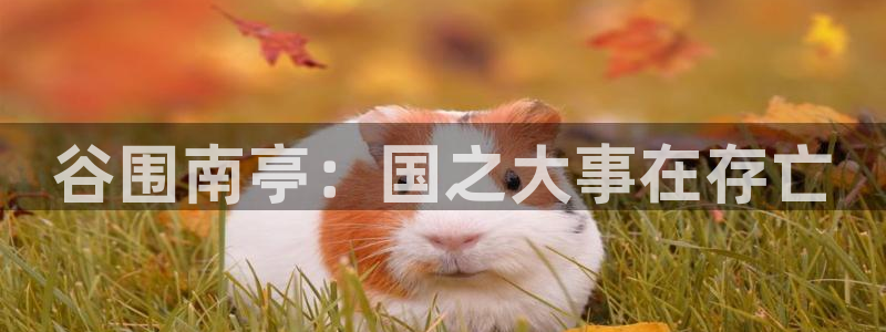 女神漫画免费观看完整版