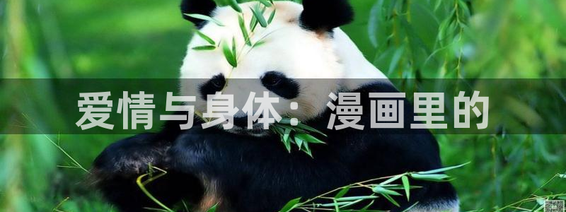 女神漫画免费漫画下拉式漫画